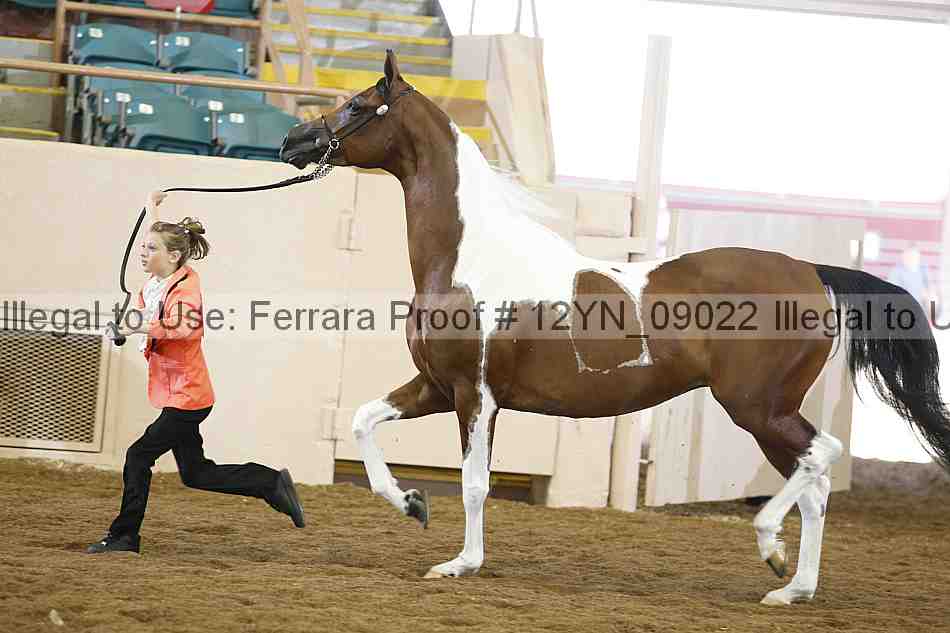 Proof 12yn_09022