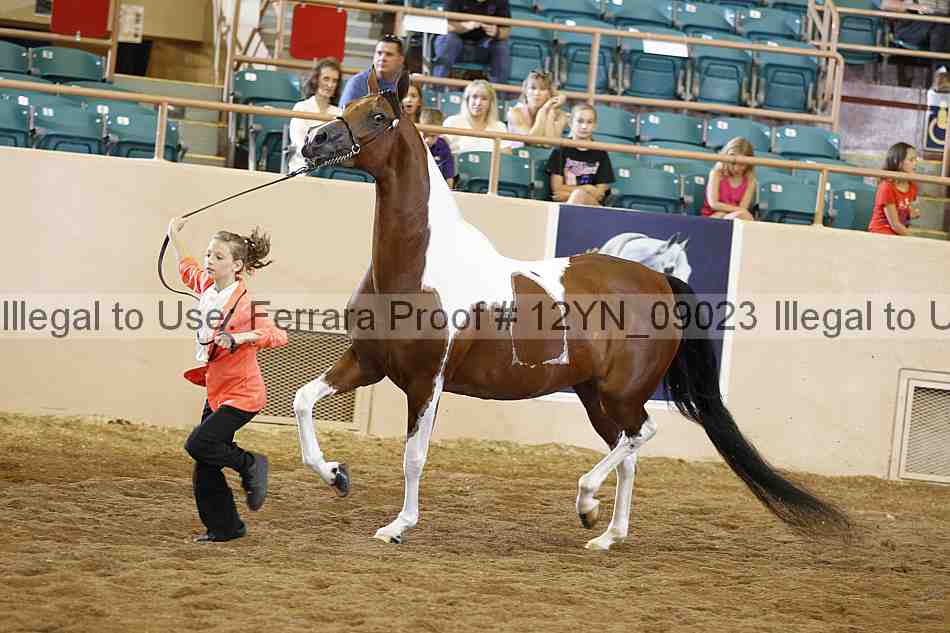 Proof 12yn_09023