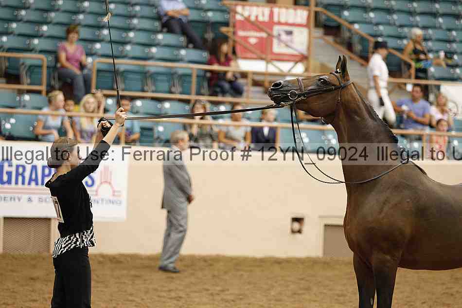 Proof 12yn_09024