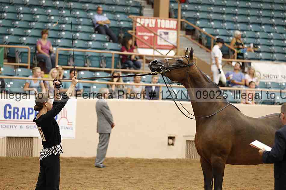 Proof 12yn_09025