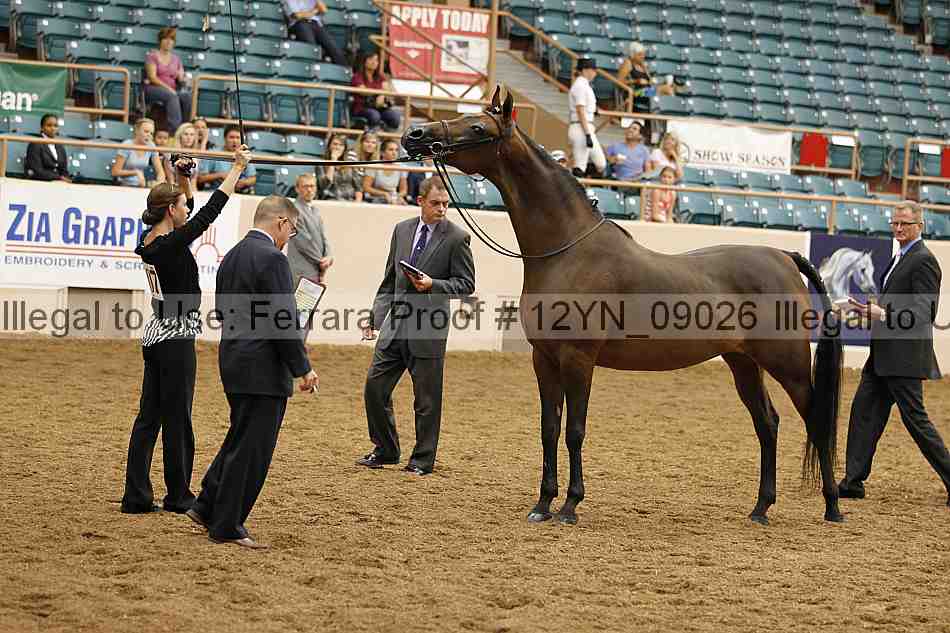 Proof 12yn_09026