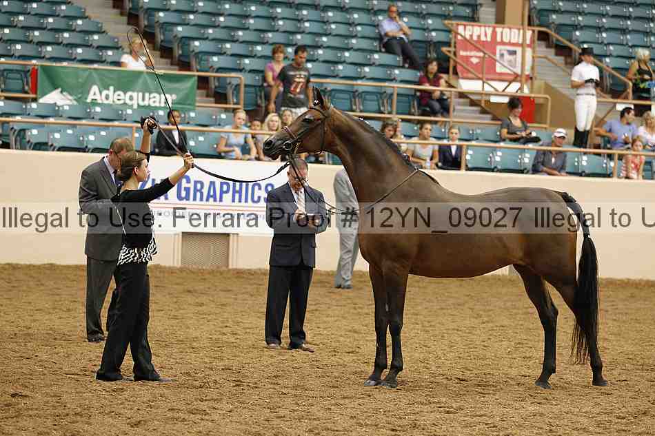 Proof 12yn_09027