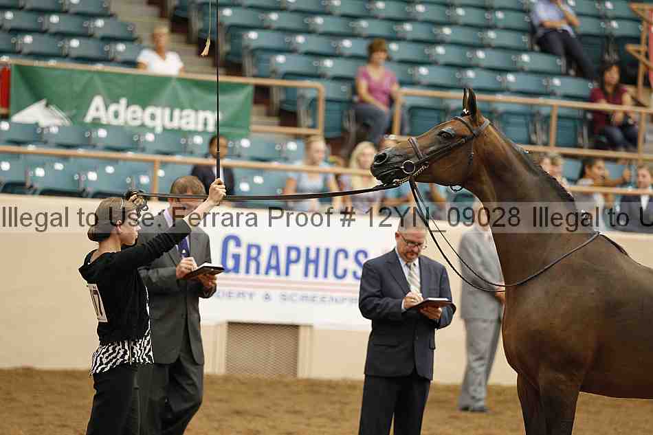 Proof 12yn_09028