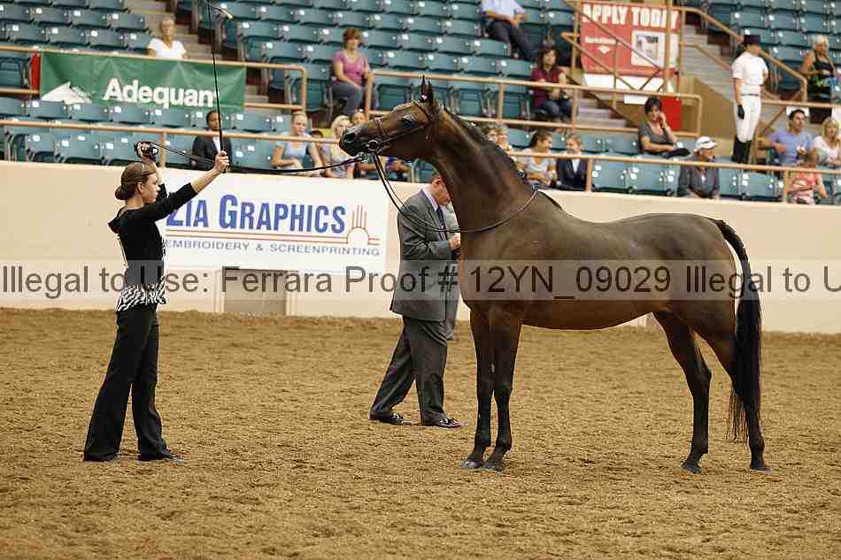 Proof 12yn_09029