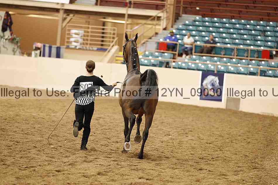 Proof 12yn_09030