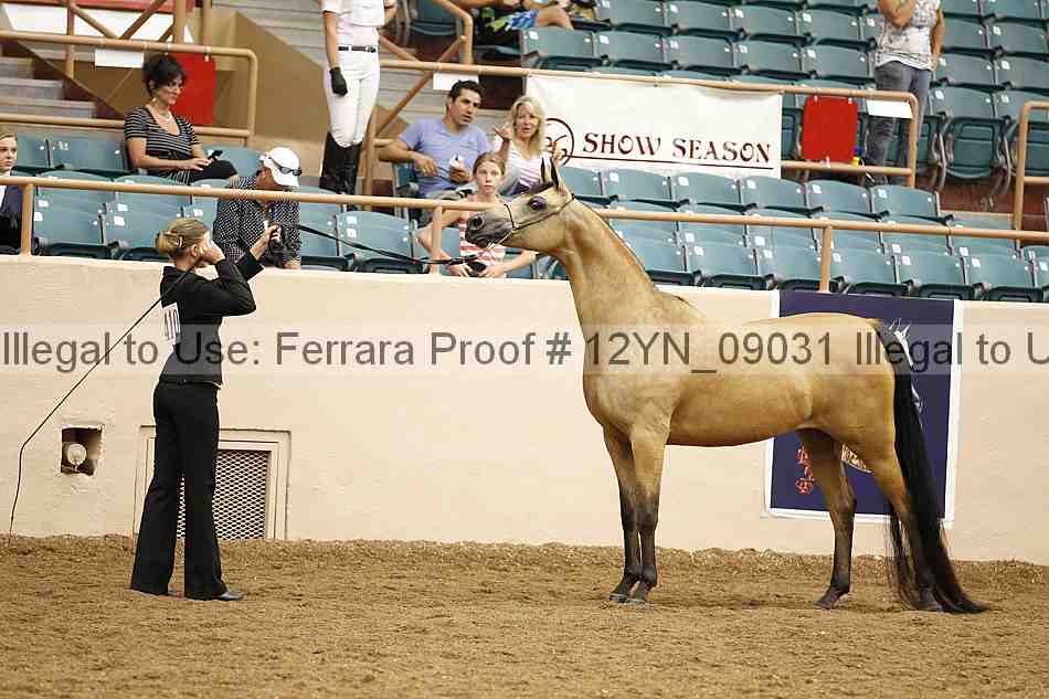 Proof 12yn_09031