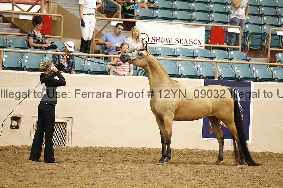 Proof 12yn_09032