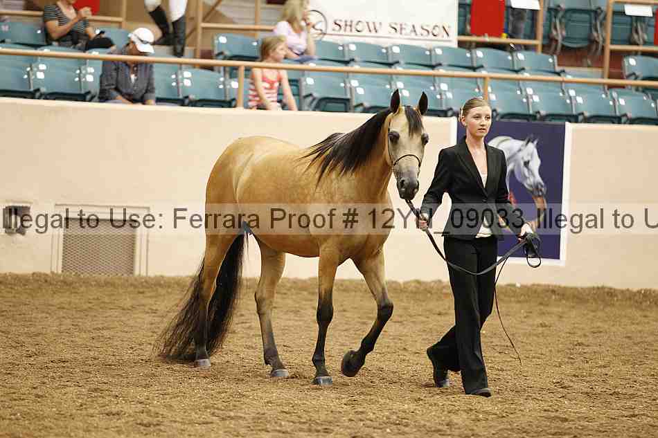 Proof 12yn_09033