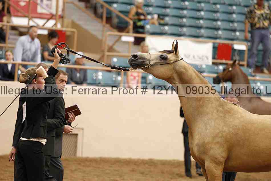 Proof 12yn_09035