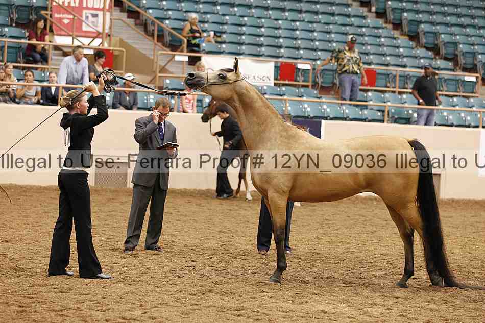 Proof 12yn_09036