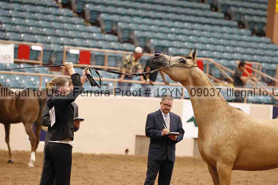 Proof 12yn_09037