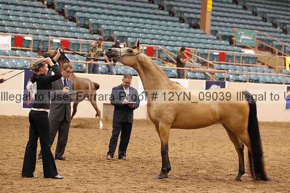 Proof 12yn_09039