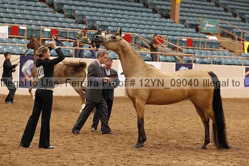 Proof 12yn_09040