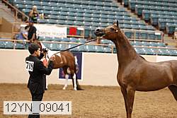 12yn_09041 proof