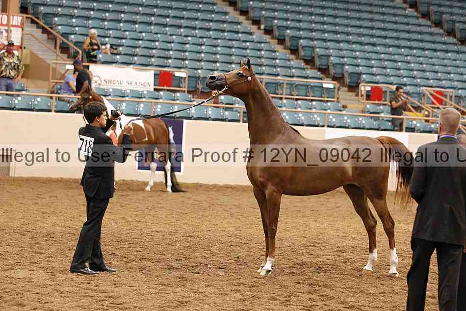 Proof 12yn_09042