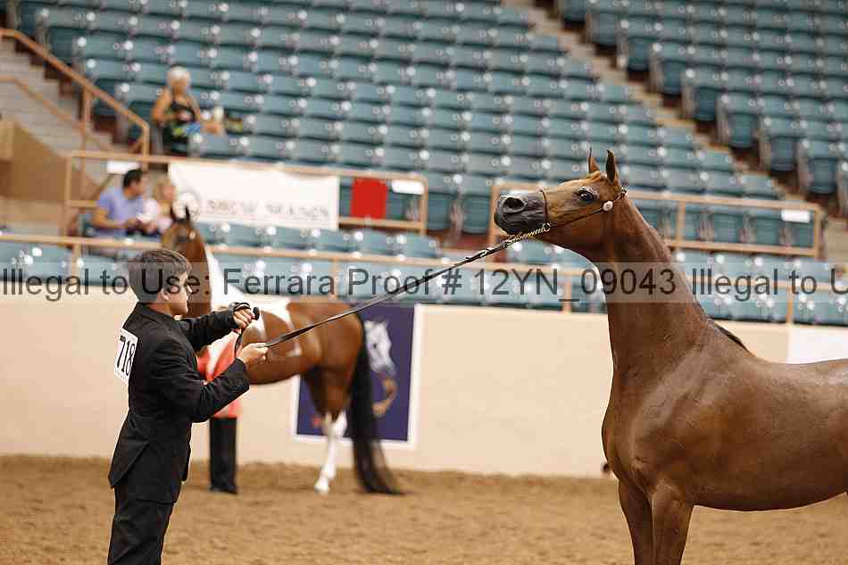 Proof 12yn_09043