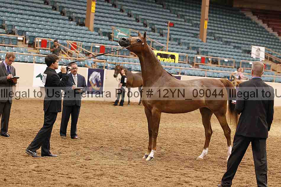 Proof 12yn_09044