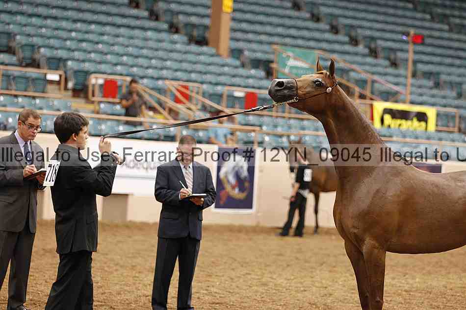 Proof 12yn_09045