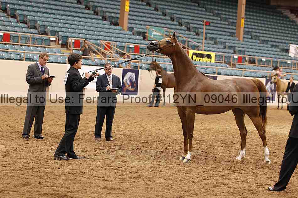 Proof 12yn_09046