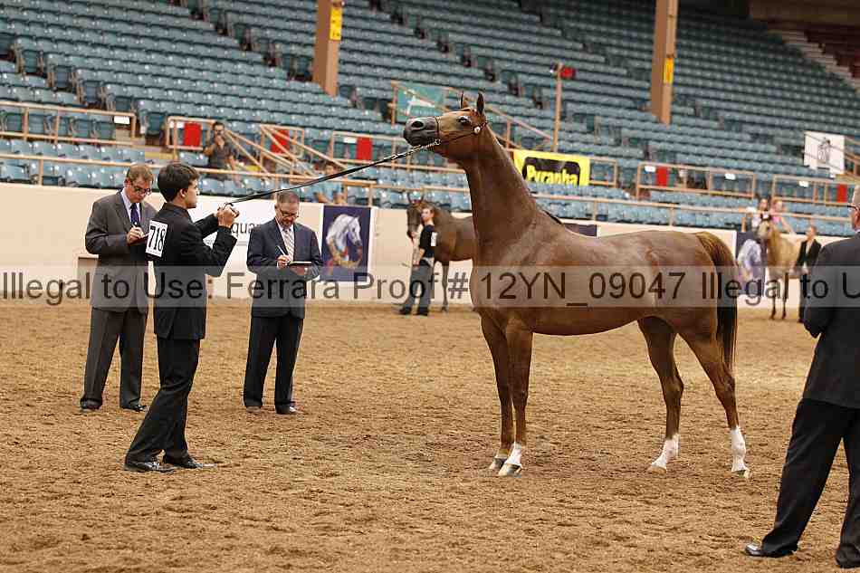 Proof 12yn_09047