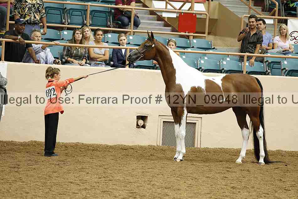 Proof 12yn_09048