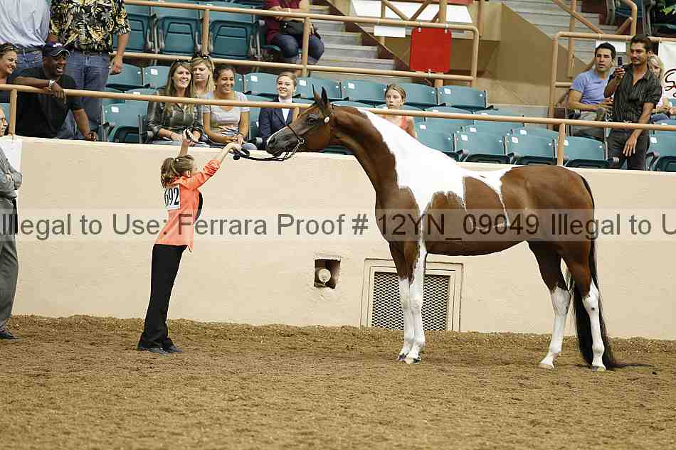 Proof 12yn_09049