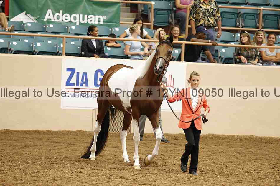 Proof 12yn_09050