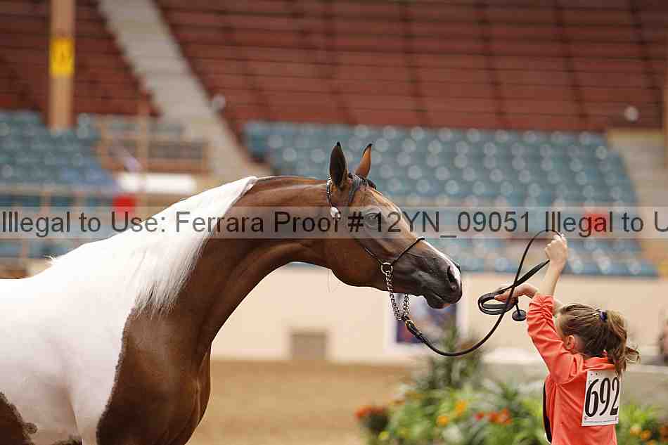 Proof 12yn_09051