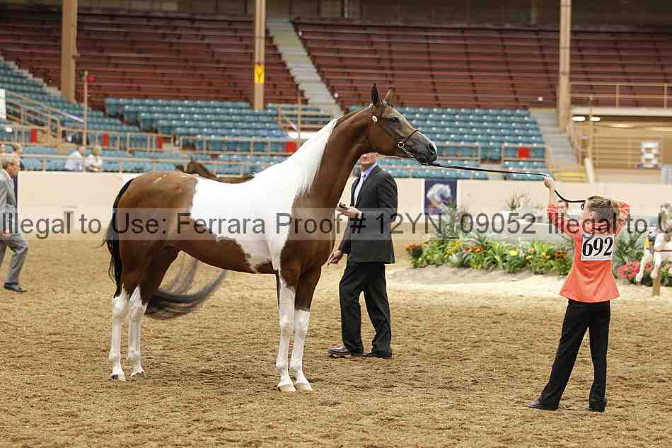 Proof 12yn_09052