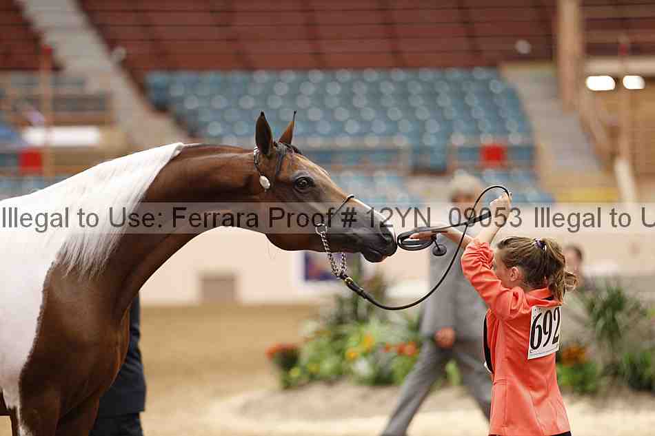 Proof 12yn_09053
