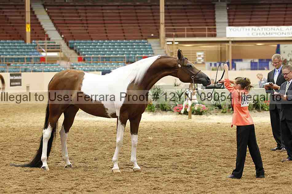 Proof 12yn_09054