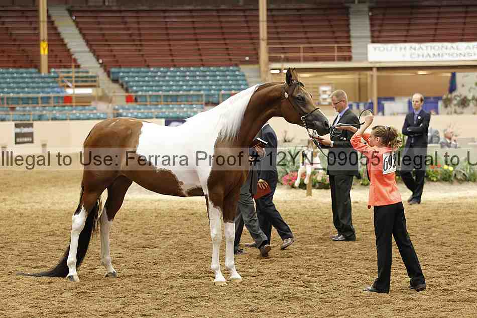Proof 12yn_09055