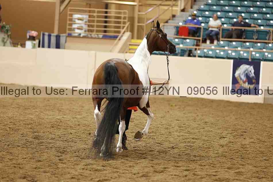 Proof 12yn_09056