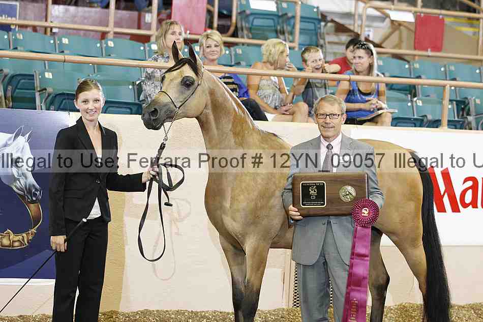 Proof 12yn_09057