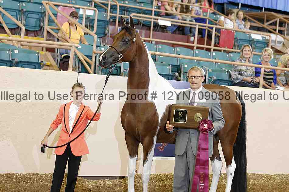 Proof 12yn_09058