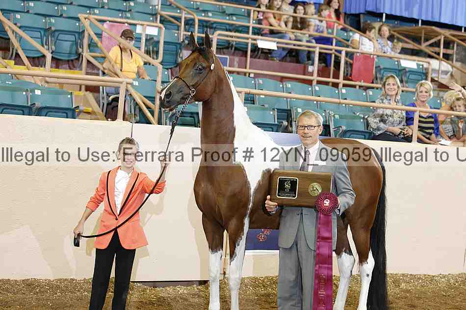 Proof 12yn_09059