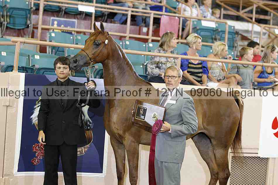 Proof 12yn_09060