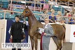 12yn_09060 proof