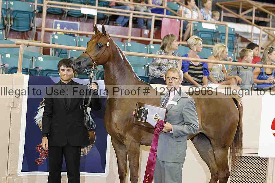 Proof 12yn_09061
