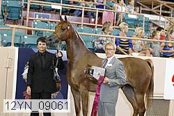 12yn_09061 proof