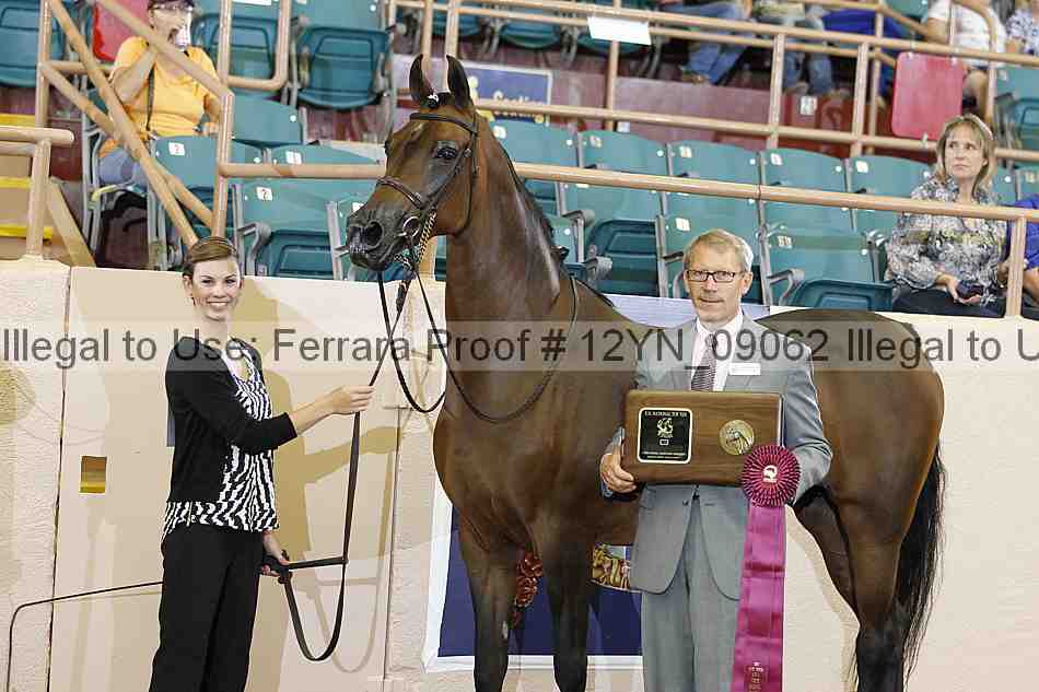 Proof 12yn_09062