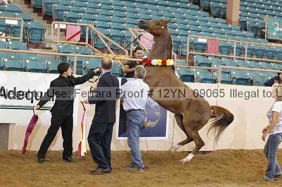 Proof 12yn_09065