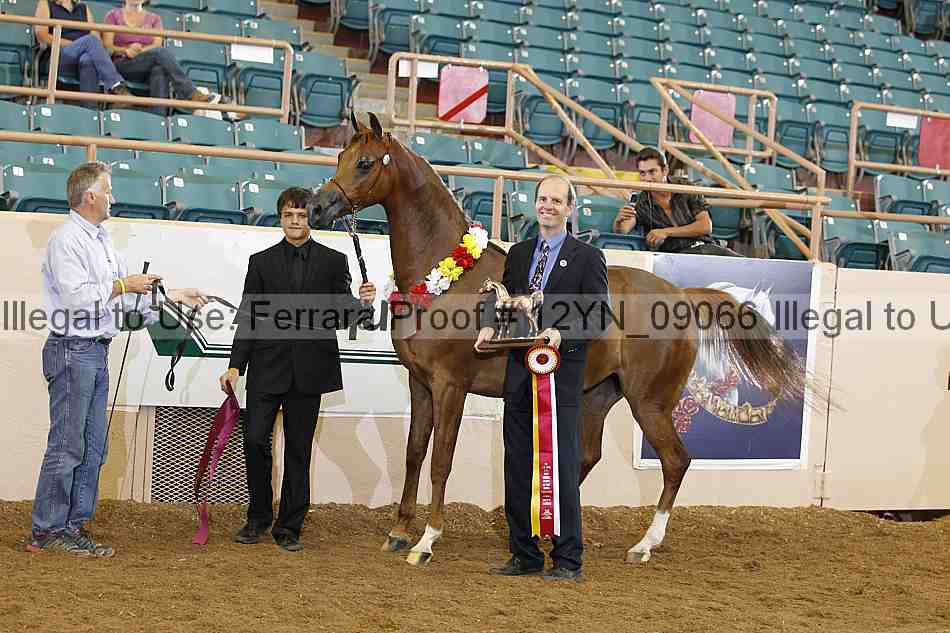 Proof 12yn_09066