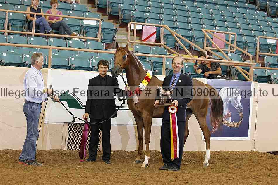 Proof 12yn_09067