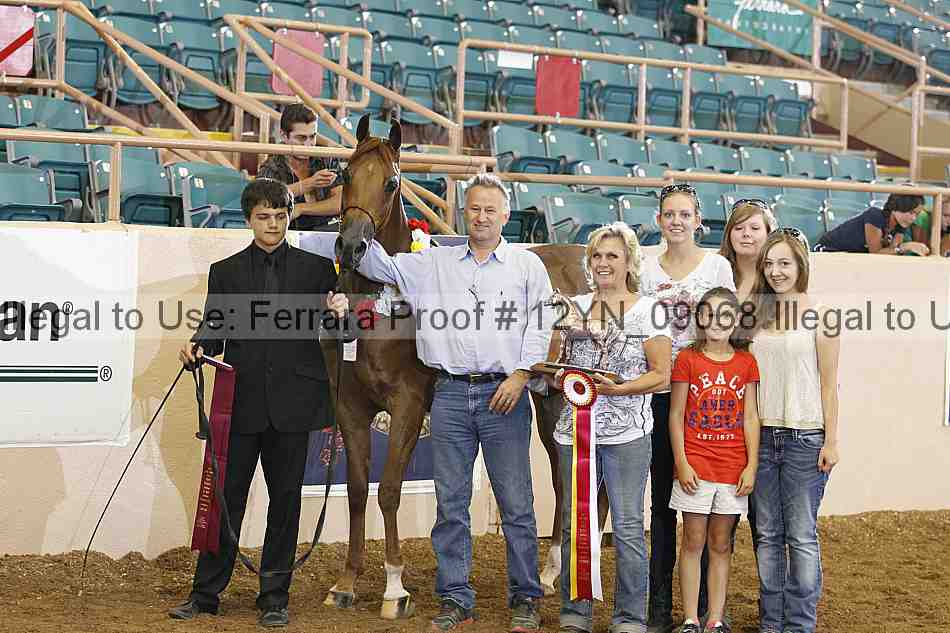 Proof 12yn_09068