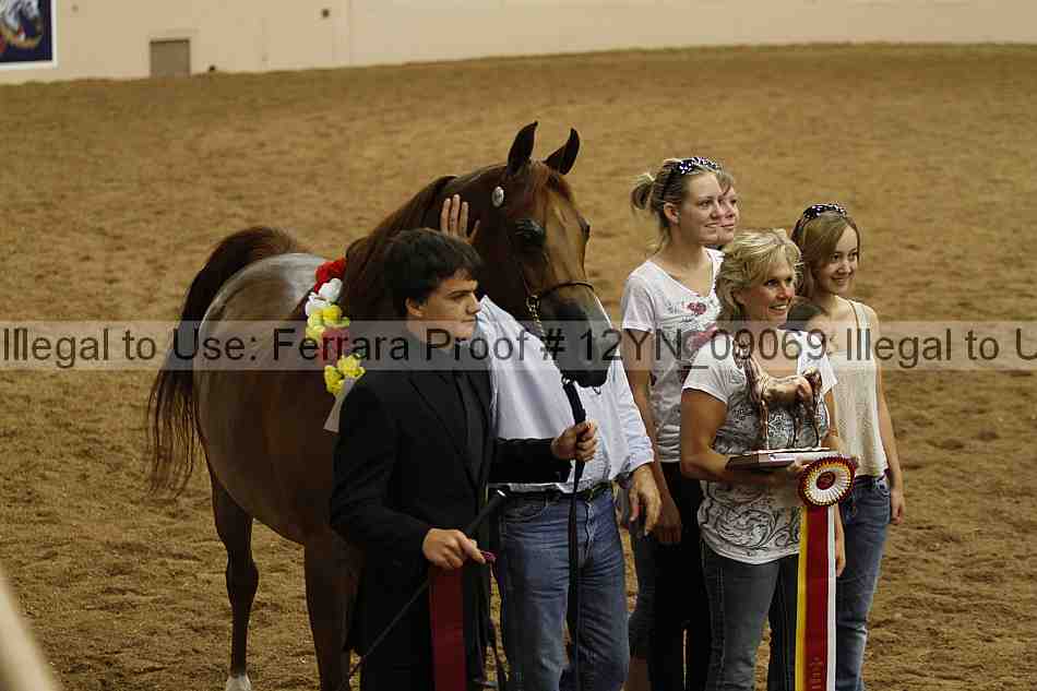 Proof 12yn_09069