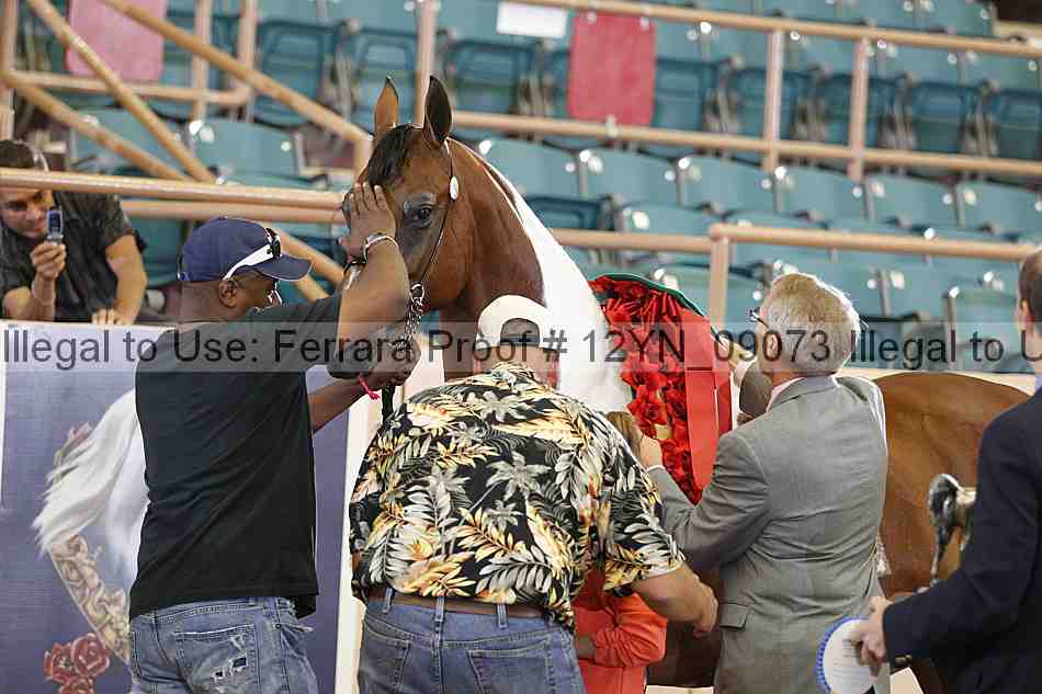 Proof 12yn_09073