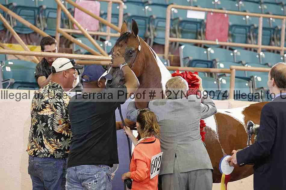 Proof 12yn_09074
