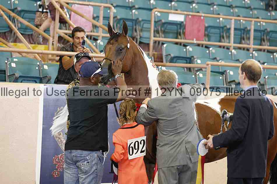 Proof 12yn_09075