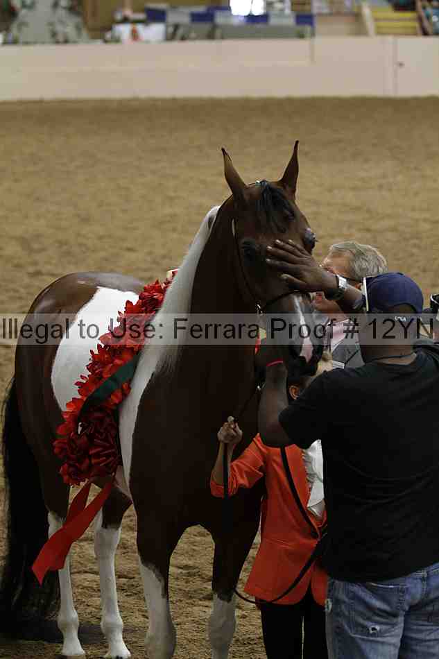 Proof 12yn_09076